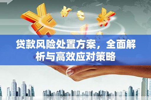 利津贷款风险处置方案，全面解析与高效应对策略