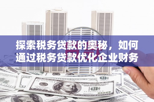 和县探索税务贷款的奥秘，如何通过税务贷款优化企业财务