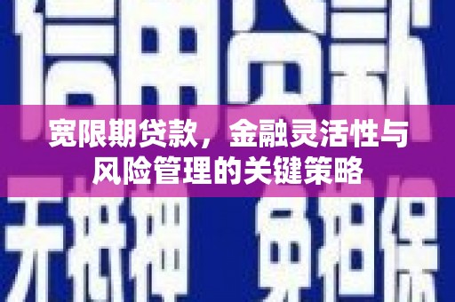 大内宽限期贷款，金融灵活性与风险管理的关键策略