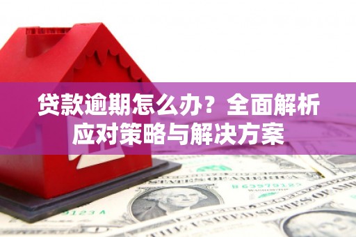 泰顺贷款逾期怎么办？全面解析应对策略与解决方案