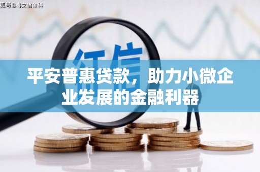 深州平安普惠贷款，助力小微企业发展的金融利器