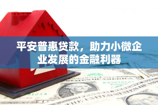 海淀平安普惠贷款，助力小微企业发展的金融利器