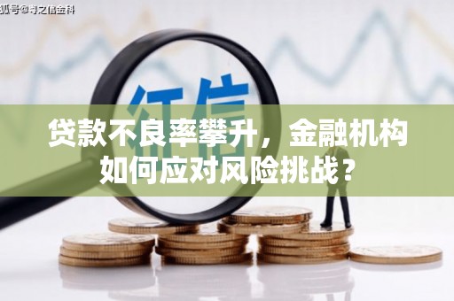 开江贷款不良率攀升，金融机构如何应对风险挑战？