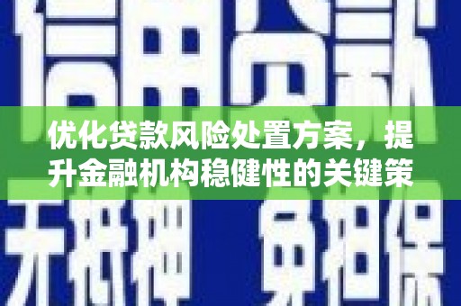 花地玛堂区优化贷款风险处置方案，提升金融机构稳健性的关键策略