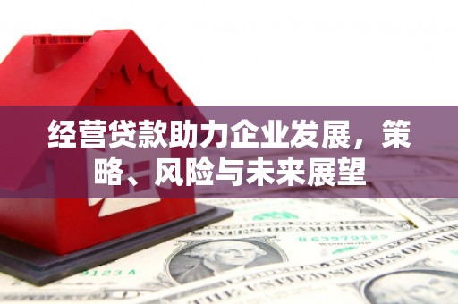 屏边经营贷款助力企业发展，策略、风险与未来展望