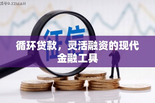 富川循环贷款，灵活融资的现代金融工具