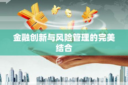 定襄金融创新与风险管理的完美结合