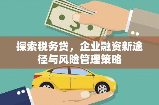 无极探索税务贷，企业融资新途径与风险管理策略
