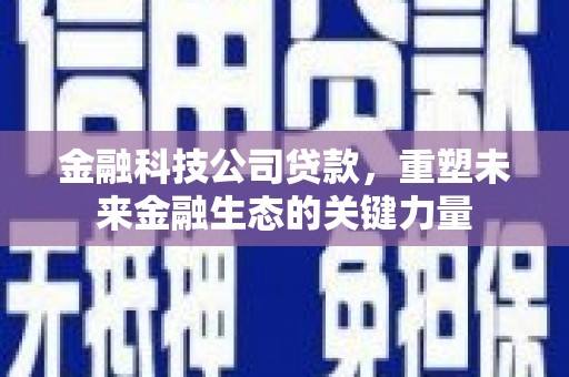 果洛金融科技公司贷款，重塑未来金融生态的关键力量