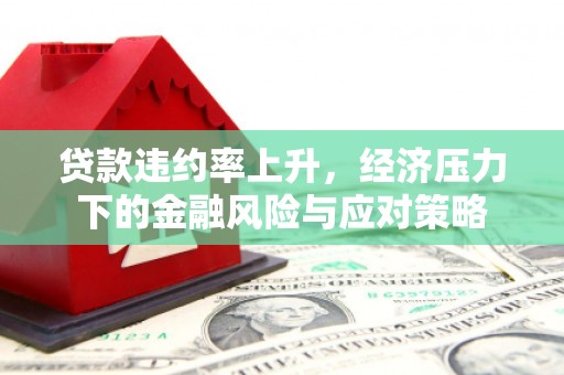 长丰贷款违约率上升，经济压力下的金融风险与应对策略