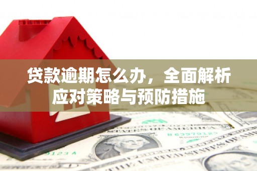 天等贷款逾期怎么办，全面解析应对策略与预防措施