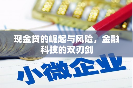 沅陵现金贷的崛起与风险，金融科技的双刃剑