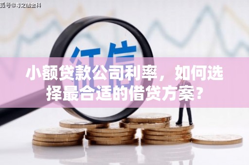 永济小额贷款公司利率，如何选择最合适的借贷方案？
