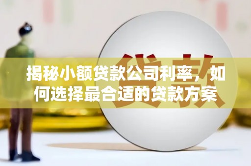 钟祥揭秘小额贷款公司利率，如何选择最合适的贷款方案