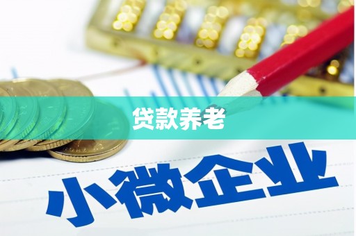 大姚贷款养老