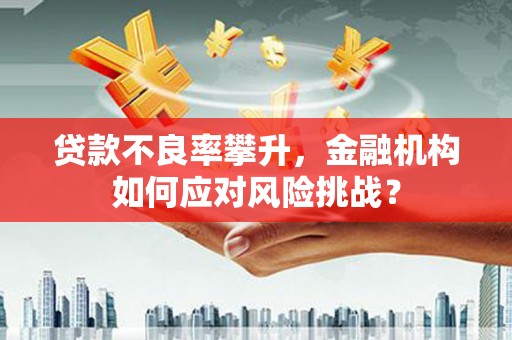 舒城贷款不良率攀升，金融机构如何应对风险挑战？