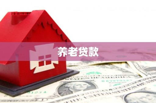 南陵养老贷款