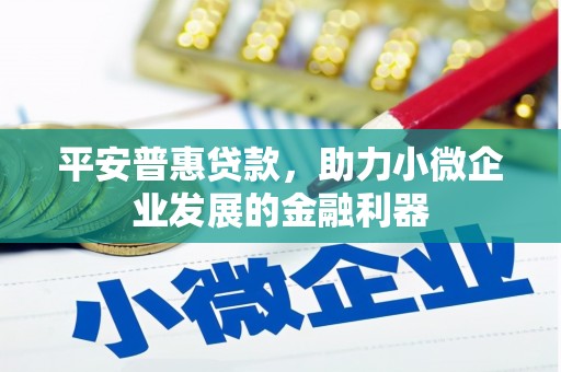德清平安普惠贷款，助力小微企业发展的金融利器