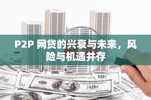 平顶山P2P 网贷的兴衰与未来，风险与机遇并存