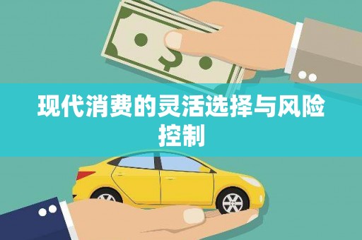 文昌现代消费的灵活选择与风险控制