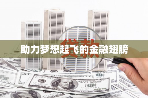 濮阳助力梦想起飞的金融翅膀