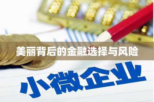 西吉美丽背后的金融选择与风险