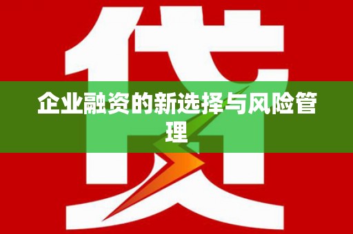 南海企业融资的新选择与风险管理