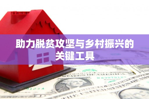 赫山助力脱贫攻坚与乡村振兴的关键工具