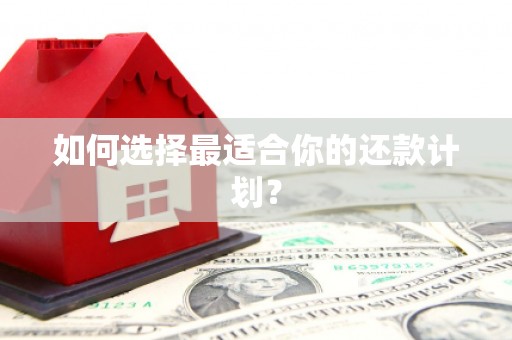 江源如何选择最适合你的还款计划？