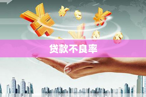 阳曲贷款不良率