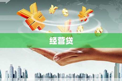 纳溪经营贷