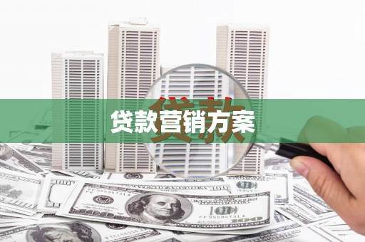 卑南贷款营销方案